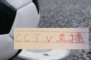 乐鱼体育app下载-喜讯！海港的比赛有CCTV直播 再加上加布里回春 上海德比能稳吗